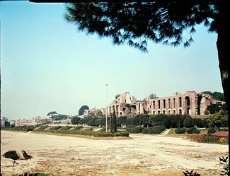 Ansicht des Circus Maximus